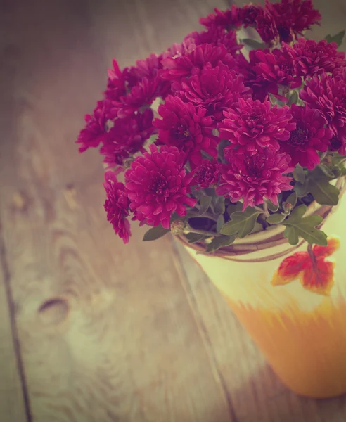 Kwiaty Aster — Zdjęcie stockowe