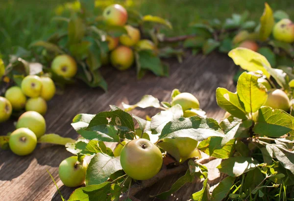 Manzanas orgánicas frescas con hojas sobre fondo de madera —  Fotos de Stock