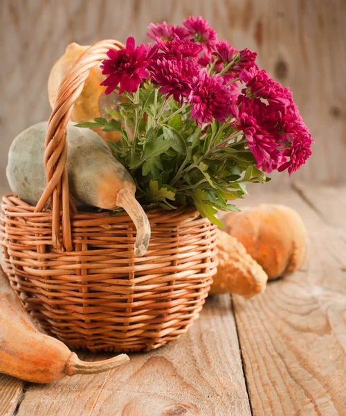 Aster Flowers and pumpkins in basket — Stock Photo, Image