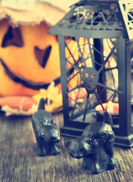 Decorazione di Halloween — Foto Stock