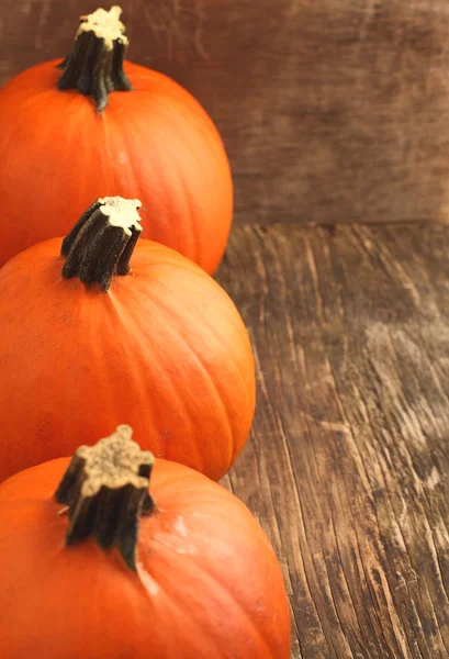 Calabazas sobre fondo de madera — Foto de Stock