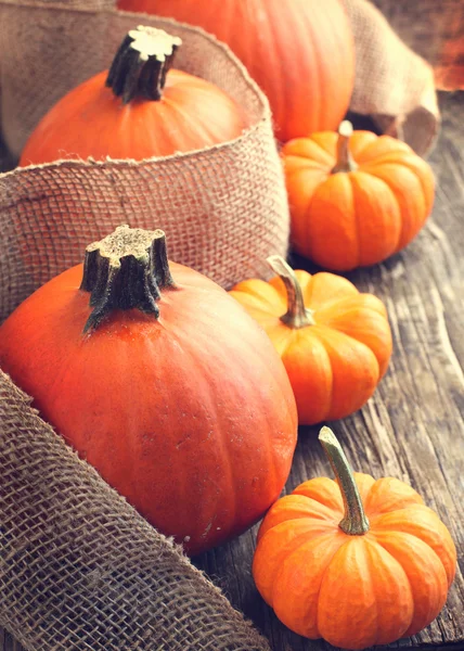 Fresh Pumpkins on wooden background — Stock Photo, Image