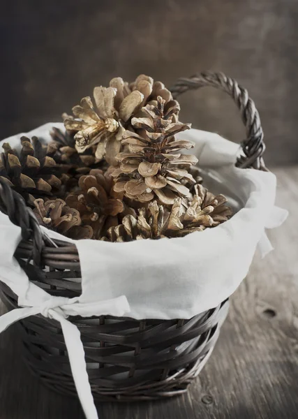 Conos de pino en cesta — Foto de Stock