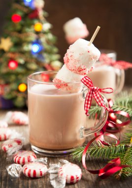 nane ile sıcak çikolata kaplı marshmallow şekerleme