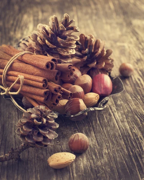 Pine cone, cinnamon and nuts for Christmas decoration — Stock Photo, Image