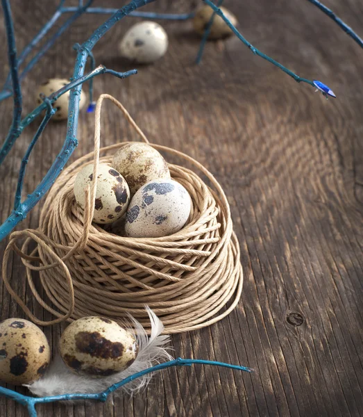 Пасхальное украшение с перепелиными яйцами и ветвями на деревянной доске . — стоковое фото