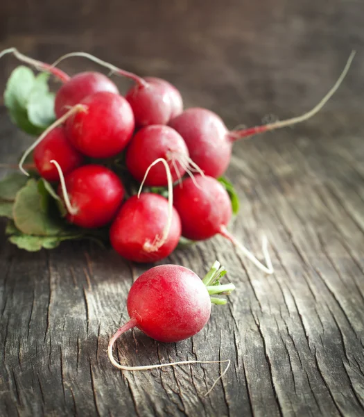 Bunch of fresh radish. — Stock Photo, Image