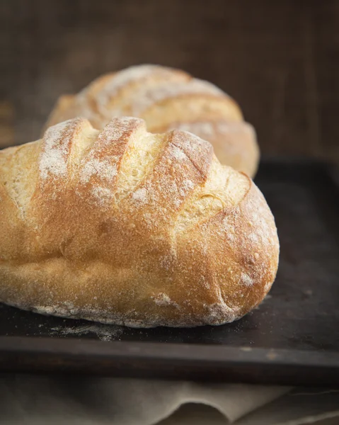 Nybakat traditionellt bröd — Stockfoto