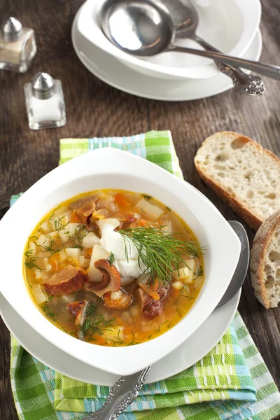 Dried Wild Mushroom and potato soup. — Stock Image Dried Wild Mushroom and potato soup. Royalty Free Stock Images