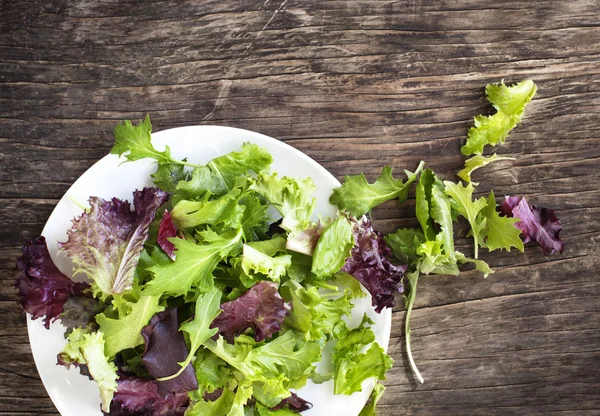 Bahar yeşil salata — Stok fotoğraf