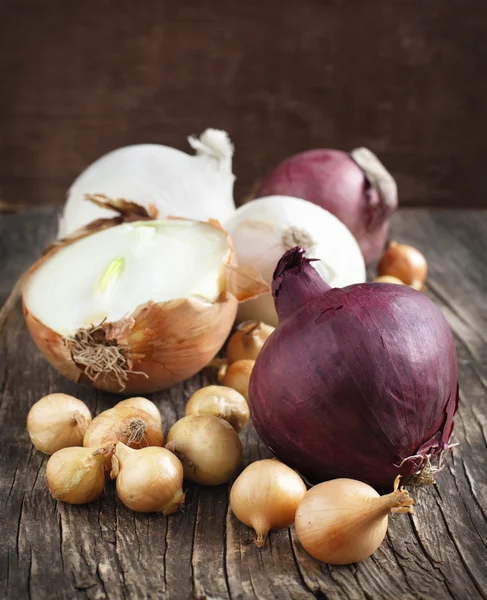 Different varieties of onions on a wooden background — Stock Photo, Image