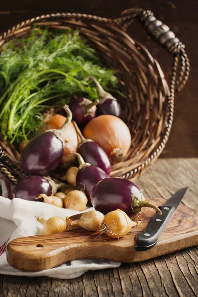 Fresh Vegetables in the basket — Stock Photo, Image