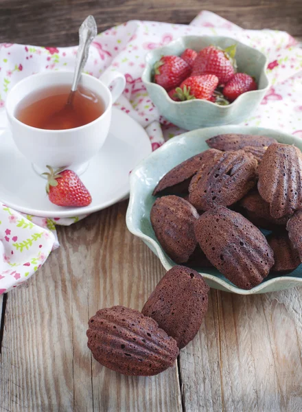 Chocolade madeleine — Stockfoto