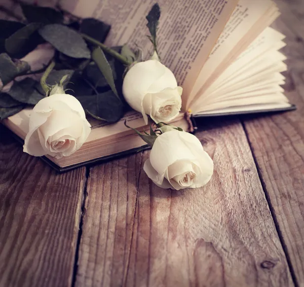 Άσπρα τριαντάφυλλα πάνω σε ένα βιβλίο σε ένα εκλεκτής ποιότητας ύφος. τονισμένο εικόνας — Φωτογραφία Αρχείου