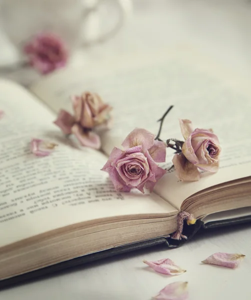 Dry roses and old book. Toned image — Stock Photo, Image