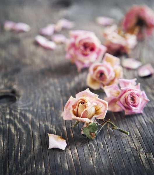 Trockene Rosen auf Holzgrund — Stockfoto