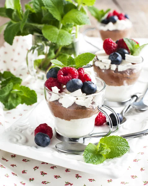 Fehér csokoládé- és tejcsokoládé mousse habcsók és bogyók — Stock Fotó