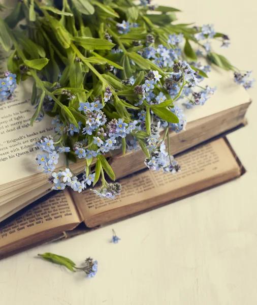 Εκλεκτής ποιότητας βιβλία και το καλοκαίρι μπλε λουλούδια. τονισμένο εικόνας. — Φωτογραφία Αρχείου