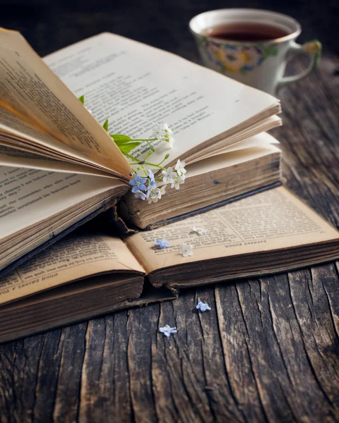 Vintage books and  summer blue flowers. Selective focus — Stock Photo, Image