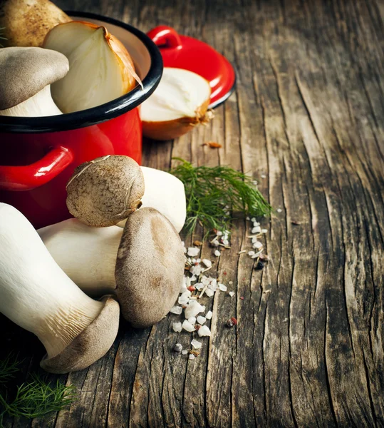 King trumpet mushrooms and vegetables for cooking soup — Stock Photo, Image