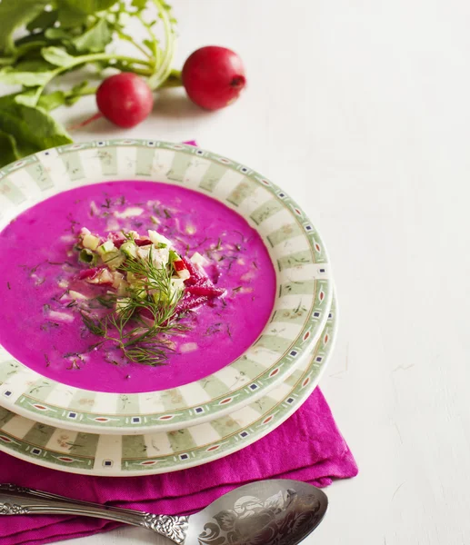 Kalte lettische Suppe. Kalte Gemüsesuppe mit Rote Beete. — Stockfoto