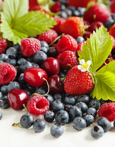 Assortment of summer fresh berries — Stock Photo, Image