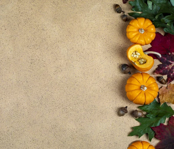 Fondo Otoño Con Hojas Otoño Calabazas Espacio Para Texto Sobre Imágenes de stock libres de derechos