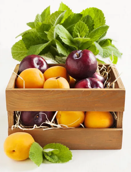 Čerstvé meruňky a švestky v dřevěné krabici — Stock fotografie