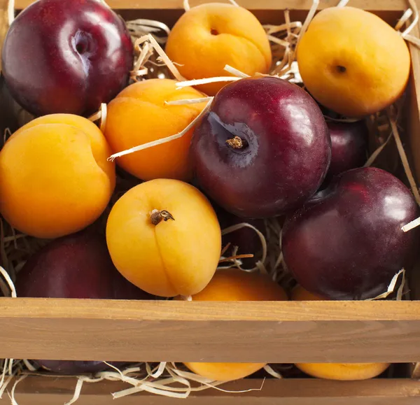 Frische Aprikosen und Pflaumen in Holzkiste — Stockfoto
