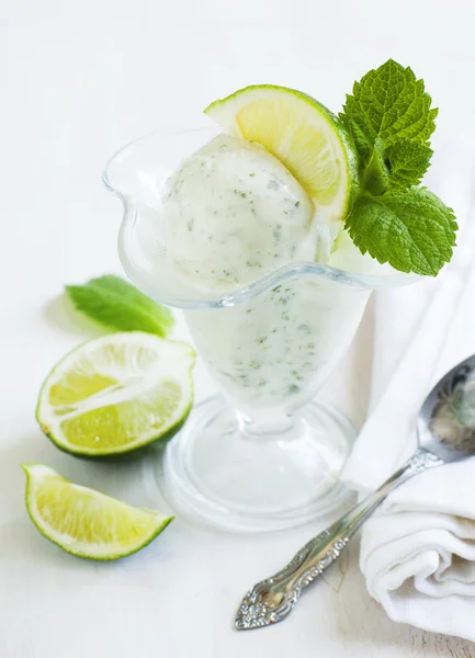 Dondurma mojito — Stok fotoğraf