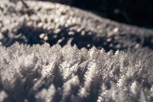 Cristallo di ghiaccio retroilluminato sulla neve nella natura invernale retroilluminato dal sole della sera — Foto Stock