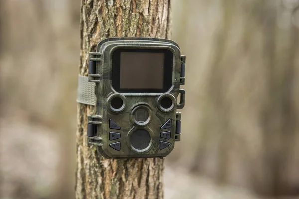 Wildlife monitoring camera trap attached to a tree by a strap in autumn forest. Game camera used for research of animal behavior with infrared illuminated fixed to a trunk in woodland.