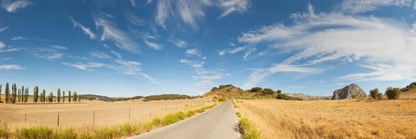 Beautiful panoramic photo of road through Sierra de Grazalema Natural Park. On the road. Blue cloudy sky. Golden fields with cypresses and rocks. Amazing scenery. Andalusia. Spain. — Stock Photo, Image
