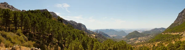 Beautiful panoramic photo of the amazing mountain landscape of Sierra de Grazalema Natural Park. Rocks and pine trees. Blue sky. Andalusia. Spain. — Stock Photo, Image