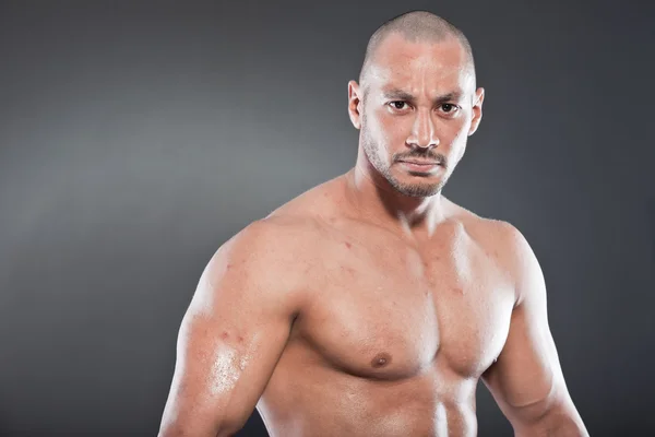 Homem de fitness musculado sem camisa. Boa aparência. Um tipo duro. Olhos castanhos. Careca. Pele bronzeada. Estúdio tiro isolado em fundo cinza . — Fotografia de Stock