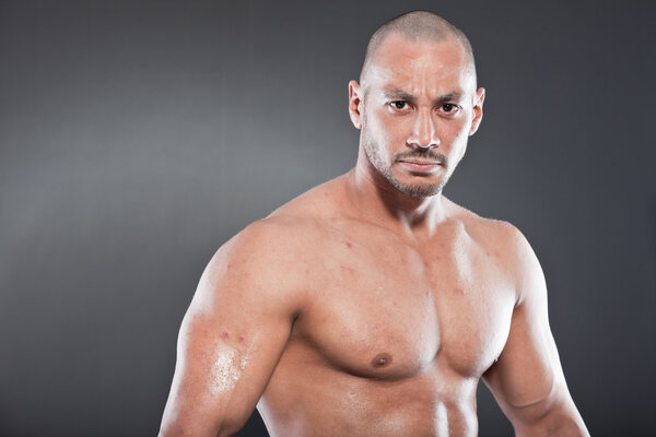 Shirtless muscled fitness man. Cool looking. Tough guy. Brown eyes. Bald. Tanned skin. Studio shot isolated on grey background.