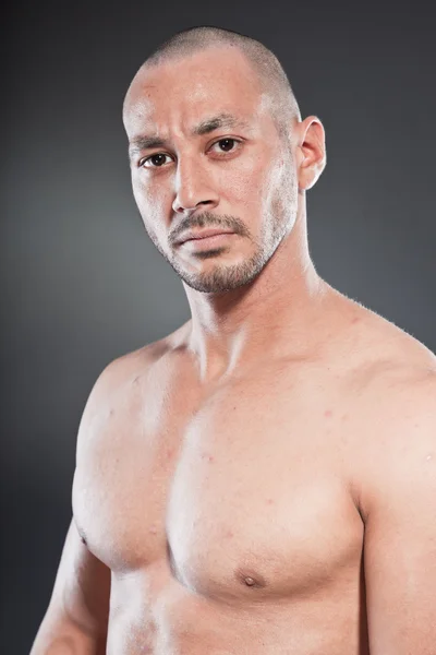 Shirtless muscled fitness man. Cool looking. Tough guy. Brown eyes. Bald. Tanned skin. Studio shot isolated on grey background. — Stock Photo, Image