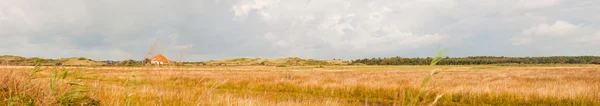 Panorámás lövés tipikus holland mezőgazdasági terület, a gazdaság és a kék viharos, felhős ég. — Stock Fotó