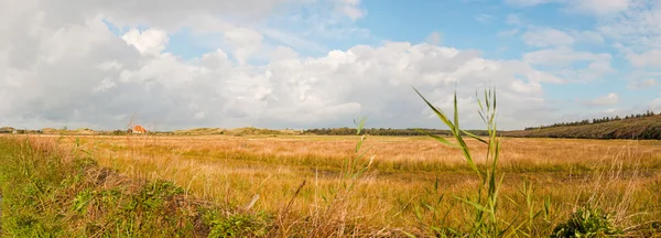 Panoramatický záběr typické holandské půdy s farmy a modrá stormy zamračená obloha. — Stock fotografie