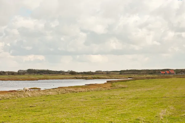 Terreni agricoli olandesi con cielo nuvoloso blu tempestoso . — Foto Stock