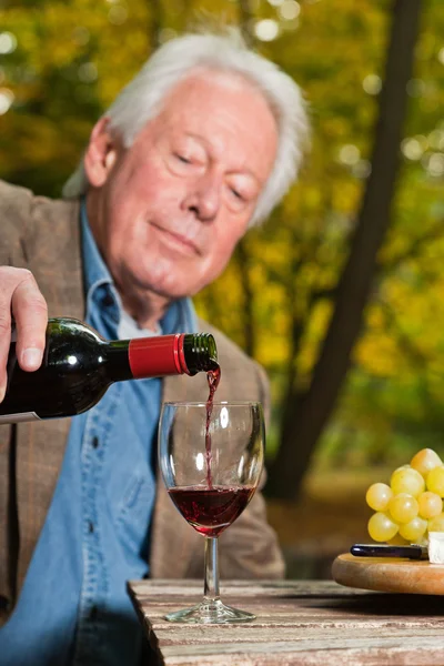 Seniorchef genießt Trauben und Käse im herbstlichen Wald. — Stockfoto