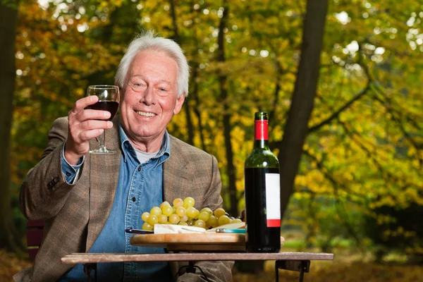 Homem sênior desfrutando de uvas e queijo ao ar livre na floresta de outono . — Fotografia de Stock