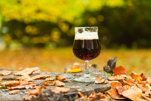 Glas dunkles Bockbier. — Stockfoto