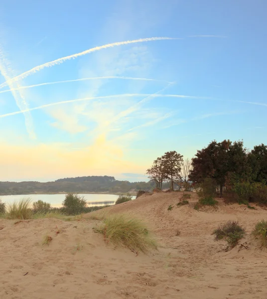 Panoramiczny strzał krajobraz wydmy z drzew i jezioro o zachodzie słońca. — Zdjęcie stockowe
