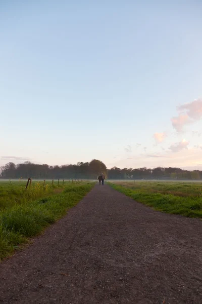 Couple walking on road through meadow in the mist at sunset. — Stock Photo, Image