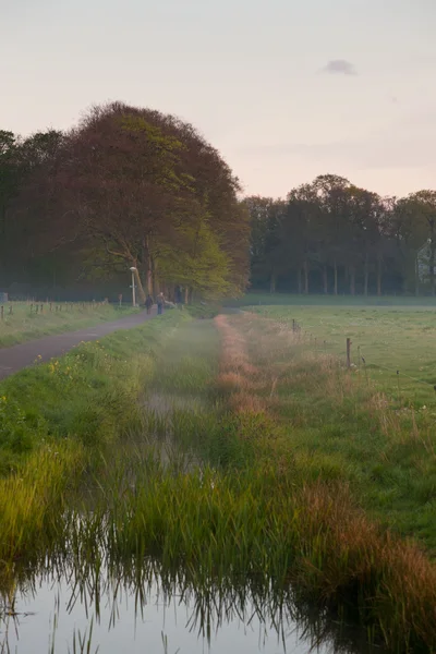 Meadow with canal in the mist at sunset. — Stock Photo, Image