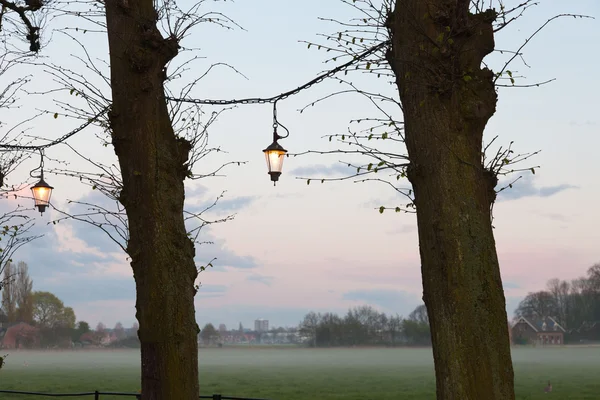 Árvores com lanternas ao pôr do sol com céu nublado . — Fotografia de Stock