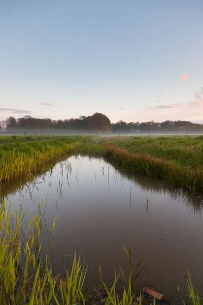 Meadow med kanal i tågen ved solnedgang . - Stock-foto