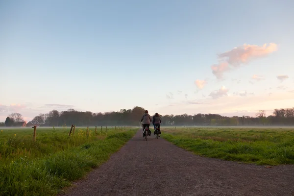 Turister cykling på väg genom ängen i dimman vid solnedgången. — Stockfoto