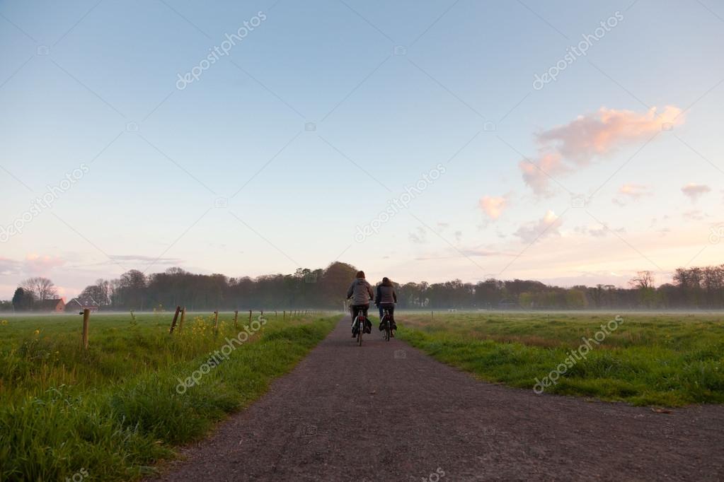 Tourists cycling on road through meadow in the mist at sunset.